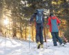 Dwie osoby z kijkami trekkingowymi idą przez zaśnieżony las.