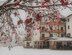  - Hotel Albergo Panorama ***