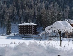 Alleghe - Rezydencja REGINA 
      