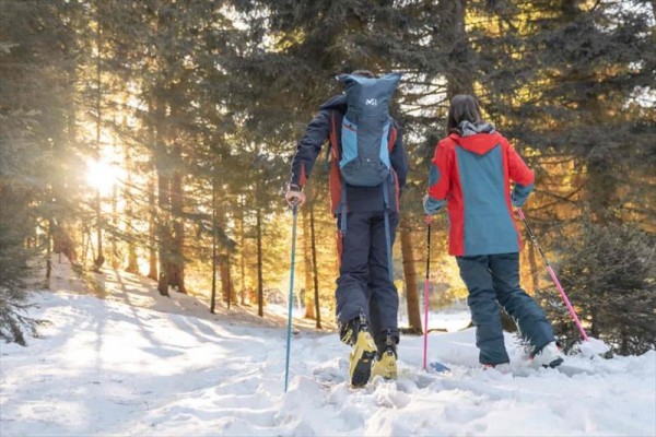 Dwie osoby z kijkami trekkingowymi idą przez zaśnieżony las.