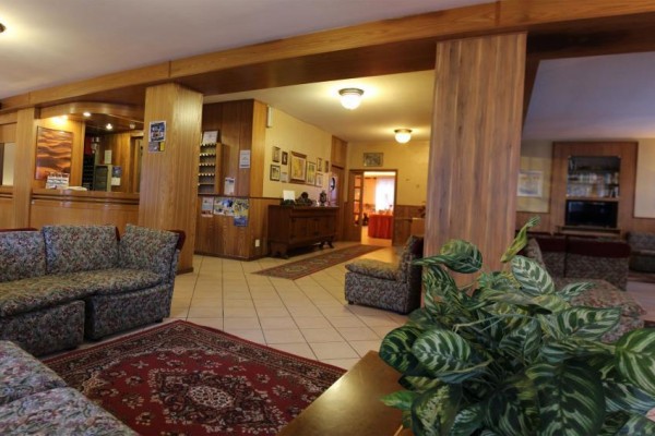 Recepcja hotelowa z kanapami i rośliną na pierwszym planie.