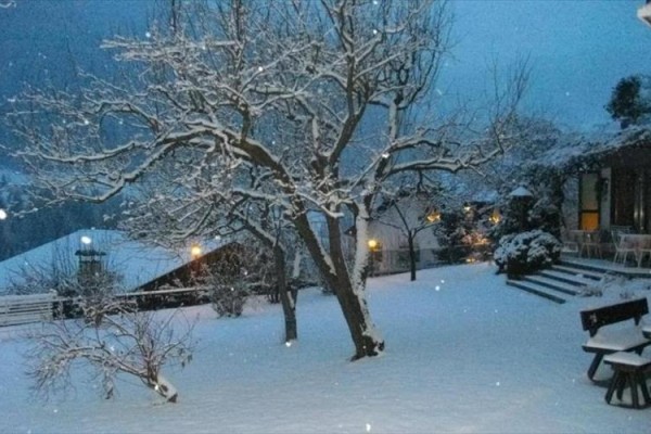 Zaśnieżony ogród z oświetlonymi domami w wieczorowym krajobrazie.