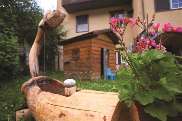 Kwitnąca pelargonia na drewnianej ławce przed drewnianą chatką w ogrodzie.