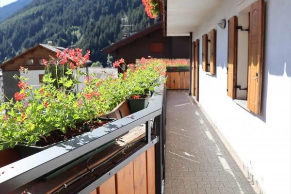 Balkon z kwiatami i widokiem na góry.